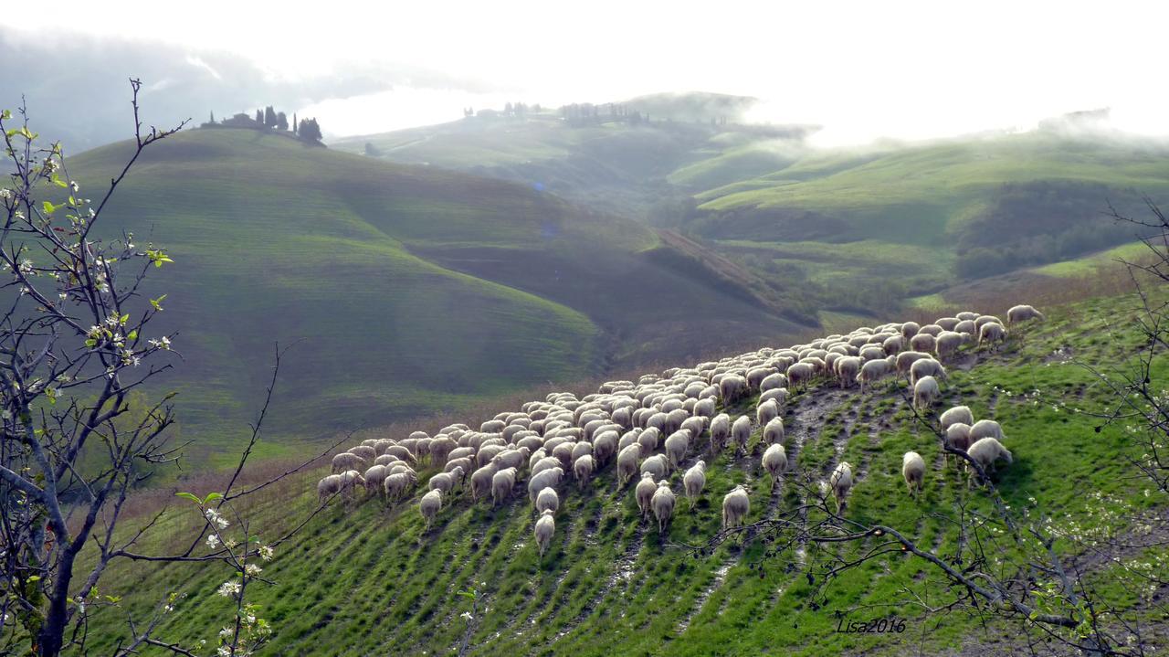 Agriturismo Fattoria Lischeto Volterra Luaran gambar