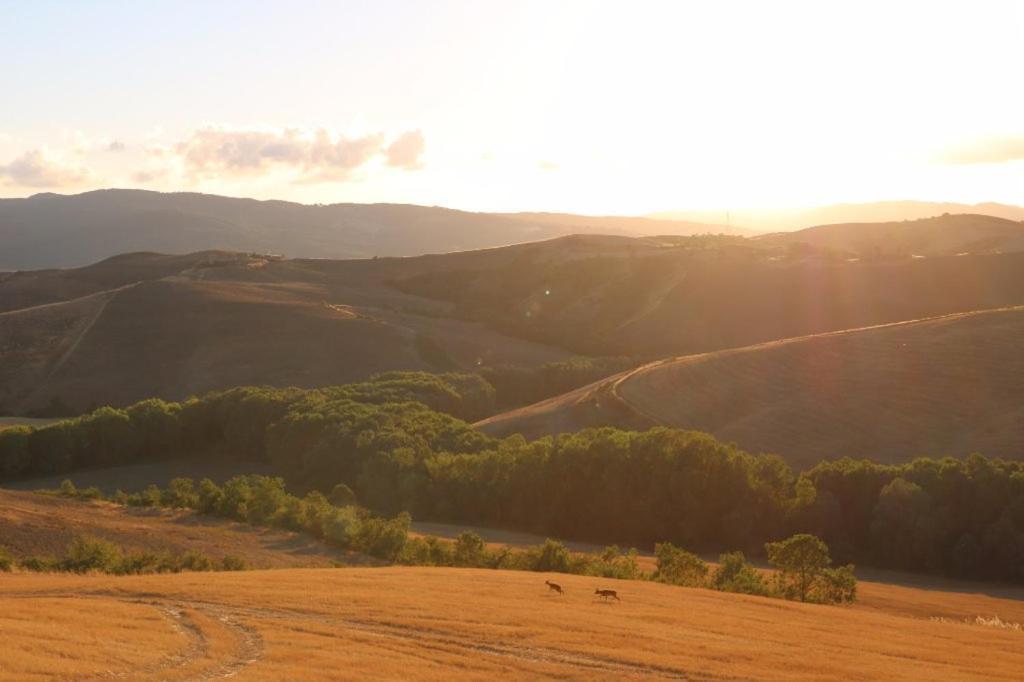 Agriturismo Fattoria Lischeto Volterra Luaran gambar
